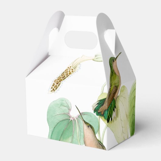 ハミングバードワイルドライフフローラフビーボックス フェイバーボックス (裏面サイド)