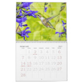 ハミングバード一年中 カレンダー (2月 2027)