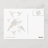 ハミングバード写真 ポストカード (裏面)