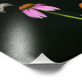 ハミングバード及びビー共有コンフロアー フォトプリント            (角)