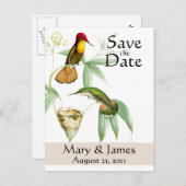 ハミングバード日付ポストカードを保存 案内ポストカード (正面/裏面)