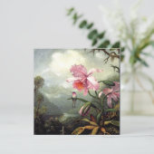 ハミングバード素晴らしが止まって カード (スタンド正面)