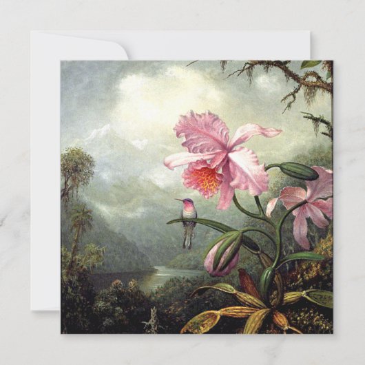 ハミングバード素晴らしが止まって カード (正面)
