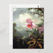 ハミングバード素晴らしが止まって ポストカード (正面/裏面)