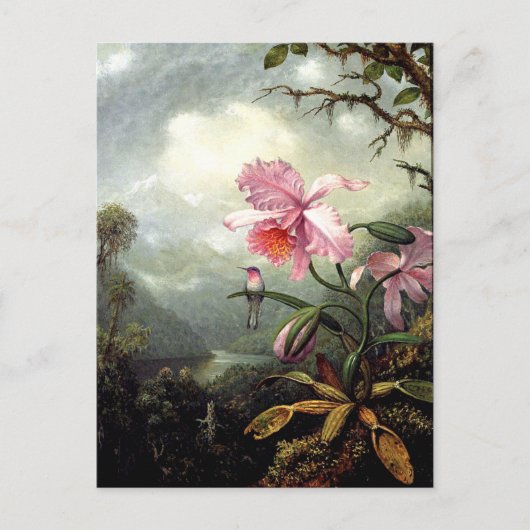 ハミングバード素晴らしが止まって ポストカード (正面)