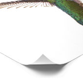 ハミングバード翼 フォトプリント            (角)