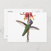 ハミングバード翼 ポストカード (正面/裏面)