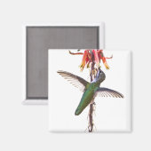 ハミングバード翼 マグネット (正面/裏面)