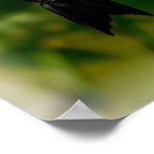 ハミングバード詩編121:7-8 ポスター (角)