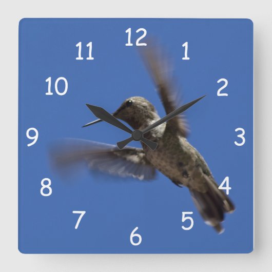 ハミングバード飛行 スクエア壁時計 (正面)