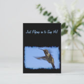 ハミングバード飛行 ポストカード (スタンド正面)