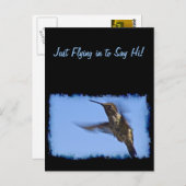 ハミングバード飛行 ポストカード (正面/裏面)