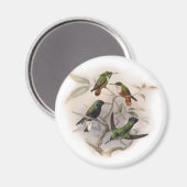 ハミングバード飛行 マグネット (正面/裏面)