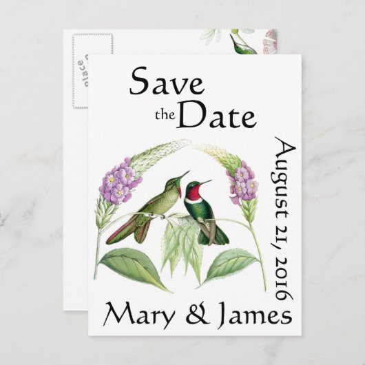 ハミングバード鳥野生動物の花は日付を保存 案内ポストカード (正面/裏面)