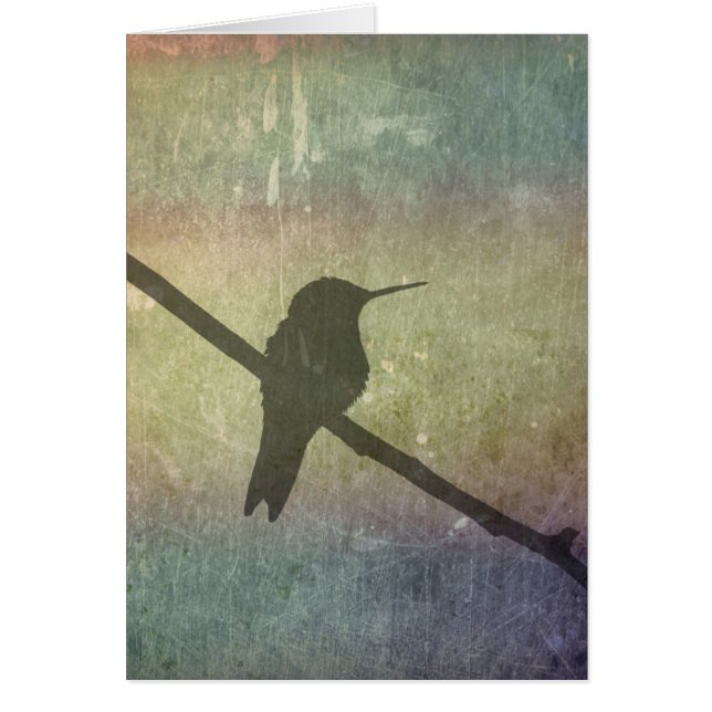 ハミングバード (正面)