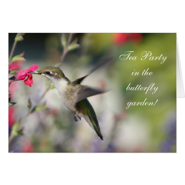 ハミングバード (正面横)