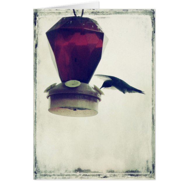 ハミングバード2 (正面)