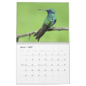 ハミングバード2025 カレンダー (3月 2027)