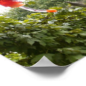 ハミングバード2、プリント ポスター (角)