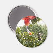 ハミングバード2、マグネット マグネット (正面/裏面)