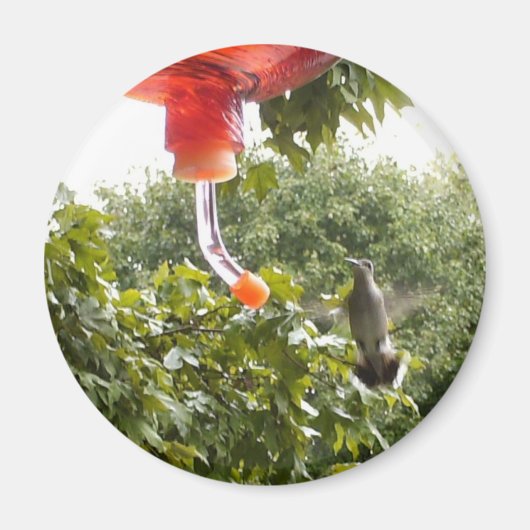 ハミングバード2、マグネット マグネット (正面)