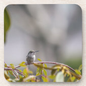 ハミングバード3346 コースター (正面)