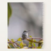 ハミングバード3346 プランナー手帳 (裏面)