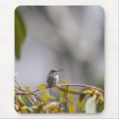 ハミングバード3346 マウスパッド (正面)