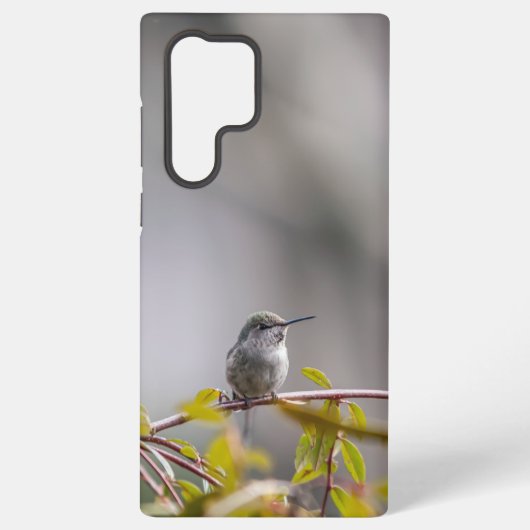 ハミングバード3346 SAMSUNG GALAXYケース (裏面)