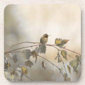 ハミングバード5265 コースター (正面)