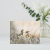 ハミングバード5265 ポストカード (スタンド正面)