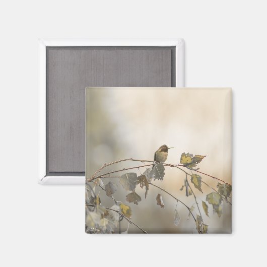 ハミングバード5265 マグネット (正面/裏面)