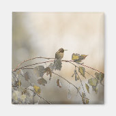 ハミングバード5265 マグネット (正面)