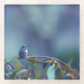 ハミングバード5738 ガラスコースター (正面)