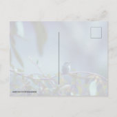 ハミングバード5738 ポストカード (裏面)