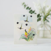 ハミングバード、ウォルターとコーンが彫った ポストカード (スタンド正面)