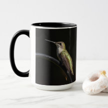 ハミングバード・オン・ブラック