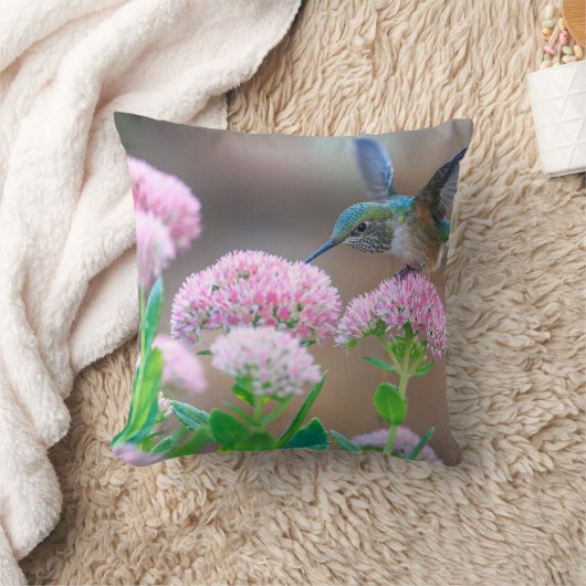 ハミングバード クッション (ブランケット)