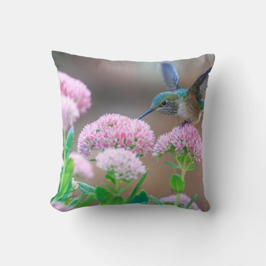 ハミングバード クッション (正面)