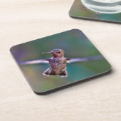 ハミングバード コースター (左側)