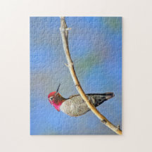 ハミングバード