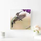 ハミングバード スクエア壁時計 (ホーム)