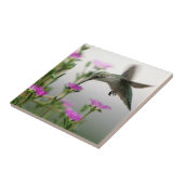 ハミングバード タイル (側面)