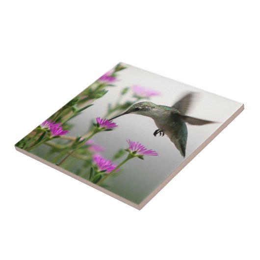 ハミングバード タイル (側面)