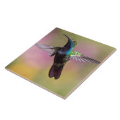 ハミングバード タイル (側面)