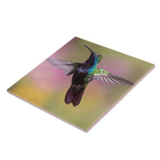 ハミングバード タイル (側面)