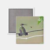 ハミングバード&ハニービー マグネット (正面/裏面)