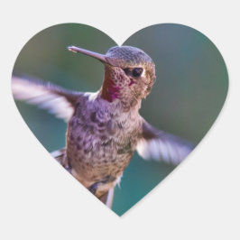 ハミングバード ハートシール