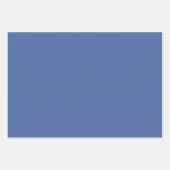 ハミングバード&バタフライフローラトイルブルーラッピング ラッピングペーパーシート (正面3)