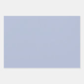 ハミングバード&バタフライフローラトイルブルーラッピング ラッピングペーパーシート (正面2)